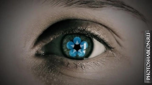 Eye Logo 82271006 - After Effects Templates