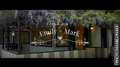 14 Wedding Titles 53534 - After Effects Templates