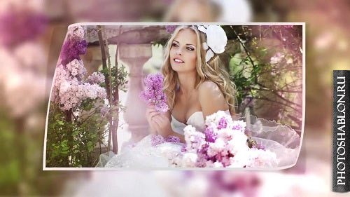 Wedding Slideshow 65356 - After Effects Templates