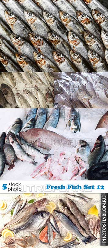 Растровый клипарт - Свежая рыба / Fresh Fish Set 12