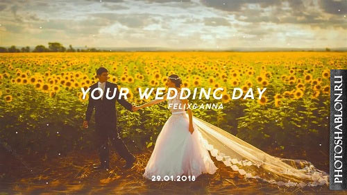 Wedding Day 57606 - After Effects Templates