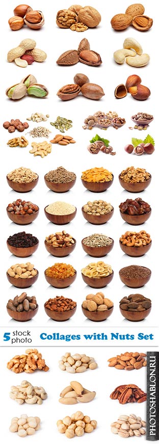 Растровый клипарт - Коллажи с орехами / Collages with Nuts Set