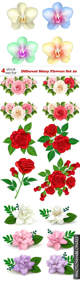 Векторный клипарт - Цветы / Different Shiny Flowers Set 20