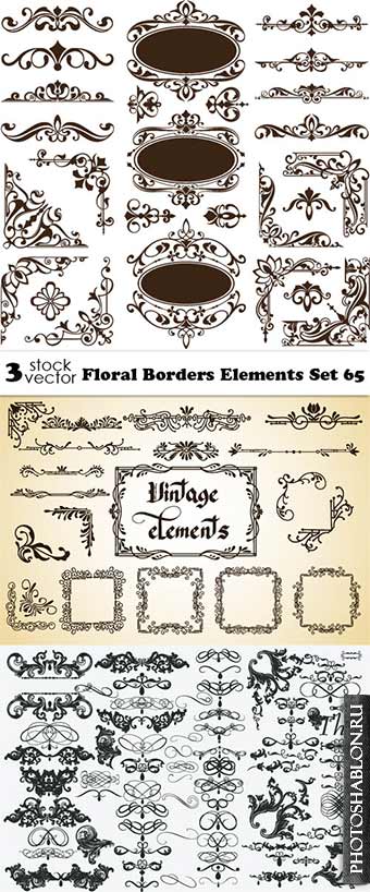 Vectors - Floral Borders Elements Set 65