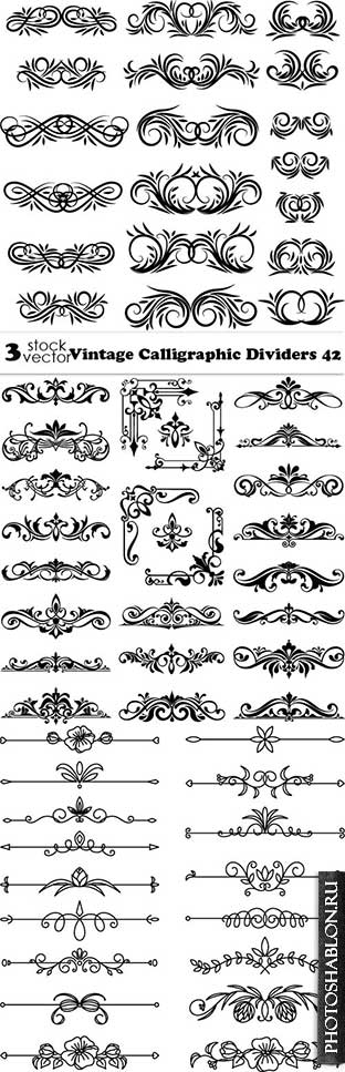 Vectors - Vintage Calligraphic Dividers 42