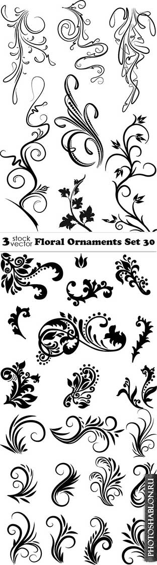 Vectors - Floral Ornaments Set 30