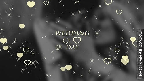 Wedding Titles 92645 - After Effects Templates