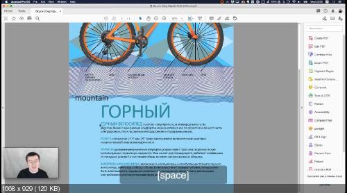 Adobe illustrator базовый курс. Adobe Illustrator базовый уровень.